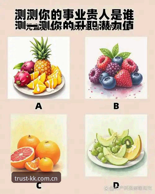 5个关键判断维度，帮你选择可信赖的KK体育同类推荐平台